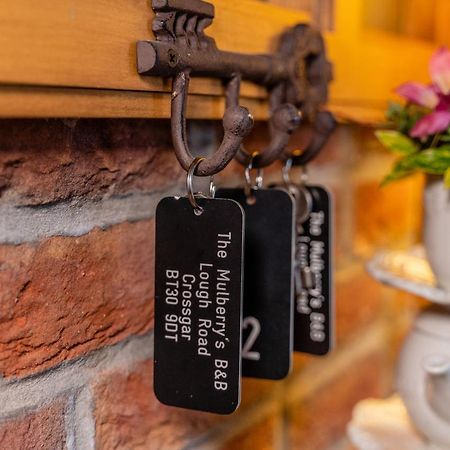The Mulberrys B&B Downpatrick Dış mekan fotoğraf