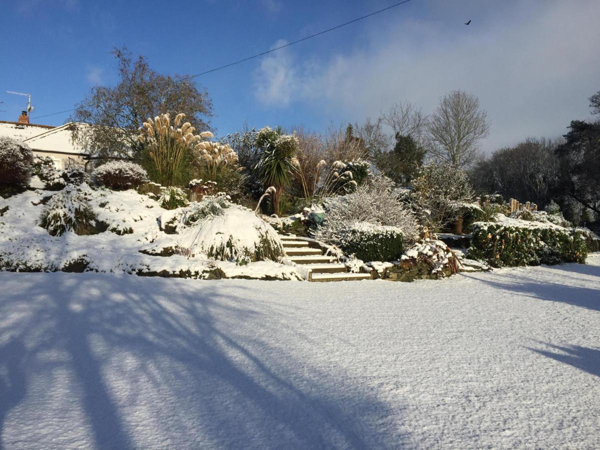 The Mulberrys B&B Downpatrick Dış mekan fotoğraf